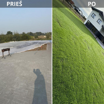 Žemių atvežimas, sklypo lyginimas, vejos seja, sėklų parinkimas, rekomendacijos kaip prižiūrėti veja. Visi darbai nuo - iki Vilnius Jevgenij nuotrauka 3 Vejos įrengimas: sėjimas, ruloninė veja Vilnius Jevgenij nuotrauka 3