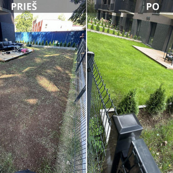 Atliekame senos vejos renovacijos bei atgaivinimo darbus. Vilnius Jevgenij nuotrauka 6 Vejos renovacija Vilnius Jevgenij nuotrauka 6