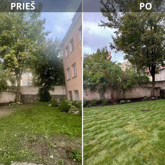 Augalų ir medelių sodinimas Vilnius Julija Kalinauskytė nuotrauka 3
