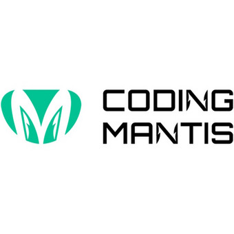 Svetainių kūrimas Druskininkų sav. Coding mantis nuotrauka 2