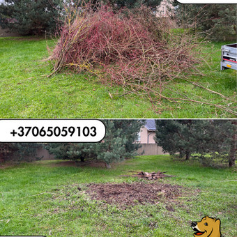 Šakų išvežimas Kaunas MB "Bardis" nuotrauka 7