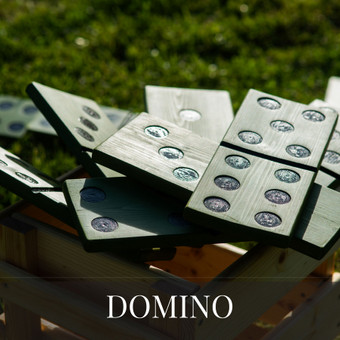 Domino Lazdijų rajonas Pramogų ambasada nuotrauka 8
