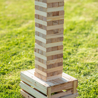 Jenga Lazdijų rajonas Pramogų ambasada nuotrauka 29
