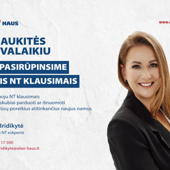 Atstovavimas parduodant NT paslaugas Klaipėda Ingrida Bridikytė nuotrauka 3