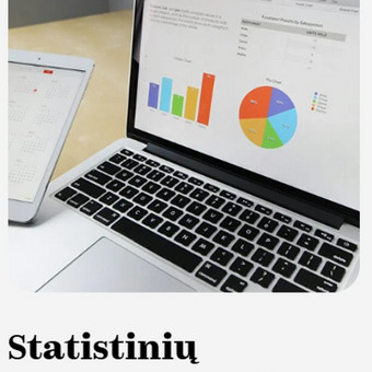 Statistinių duomenų analizė Vilnius MB Atternum Analytics nuotrauka 3
