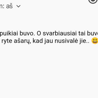 Kūrybinės dirbtuvės vaikams Kaunas Animatorė vaikų šventėms Linksmoji šventė nuotrauka 7