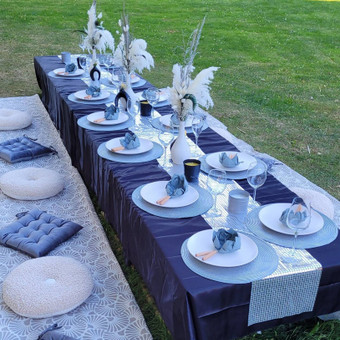 Piknikas gamtoje Panevėžys Dinci Deco nuotrauka 19