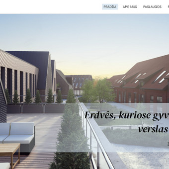 Svetainių kūrimas Klaipėda Viktorija nuotrauka 4