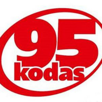 95 Kodas Vilnius Adpilis nuotrauka 4
