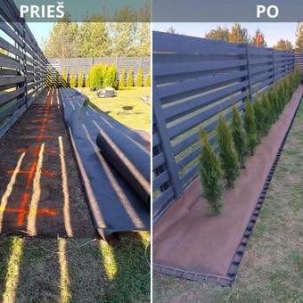 Augalų ir medelių sodinimas Kaunas MB Eden Hortus nuotrauka 2