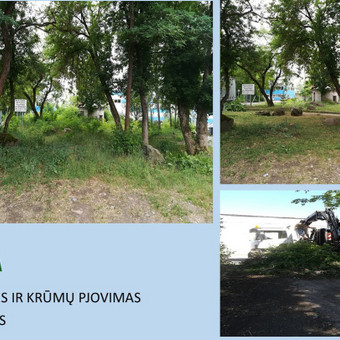 Paslauga