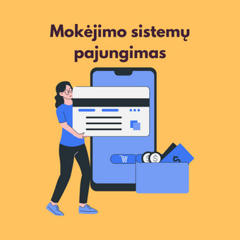 Mokėjimo sistemų pajungimas Šiauliai Ernestas Skapinskas nuotrauka 5