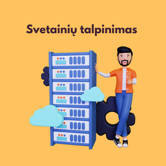 Svetainių talpinimas (Hosting) Šiauliai Ernestas Skapinskas nuotrauka 3