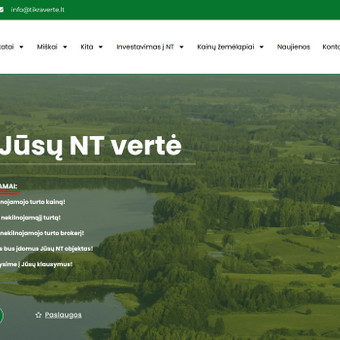 Svetainių dizainas (web design) Vilnius Infotecheris nuotrauka 1