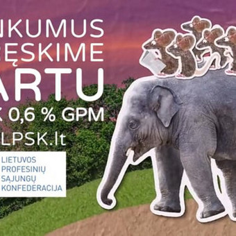 🎬 Animacijų kūrimas Vilnius Eividas Kaminskas nuotrauka 4