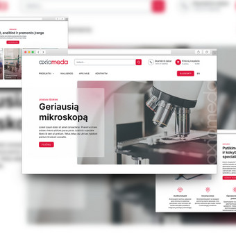 Svetainių dizainas (web design) Klaipėda Spaudos gaminių dizaino sprendimai nuotrauka 1