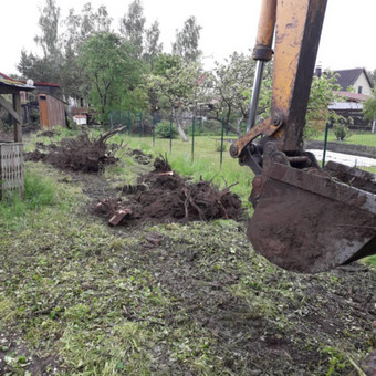 Kelmų rovimas Klaipėda Tomas nuotrauka 10