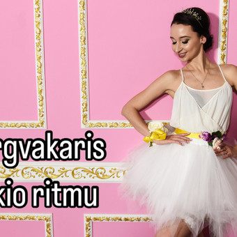 Mergvakario šokių pamoka Vilnius Šokio Fėja nuotrauka 7
