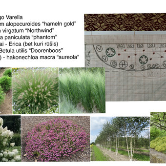 Kraštovaizdžio projektavimas Vilnius Julija Kalinauskytė nuotrauka 1