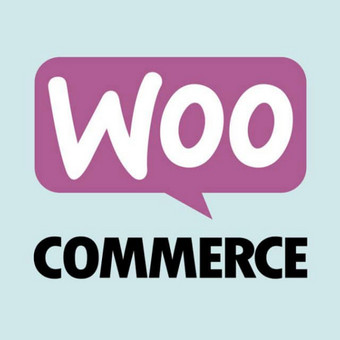 El. parduotuvių kūrimas su „WooCommerce“ Kaunas Arminas nuotrauka 4
