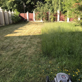 Atliekame apleistų sklypų žolės, aukštos žolės ar krūmų pjovimą. Senų vaizmedžių pjovimą, bei jų kamienų supjaustimą į kalades, tinkamas šašlykinei. Tel. 060787674 Kaunas AUKŠTOS, APLEISTOS ŽOLĖS PJOVIMAS. nuotrauka 5 Apleistų sklypų tvarkymas Kaunas AUKŠTOS, APLEISTOS ŽOLĖS PJOVIMAS. nuotrauka 5