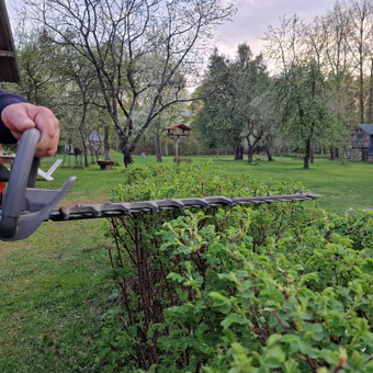 Gyvatvorių formavimas Klaipėda Ingridas Kazlauskas nuotrauka 7