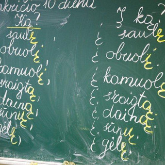 Lietuvių k. mokymas Klaipėda Mokytoja/Korepetitore nuotrauka 5