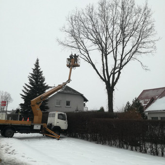 Autobokštelių nuoma. Bendradarbiaujame ir galime rekomenduoti: medžių pjovėjus (gali susmulkinti ir išvežti šakas bei sutarkuoti kelmus), langų plovėjus, vaizdo kamerų ir kondicionierių montavimą. Kaunas UAB Keliam nuotrauka 1 Bokštelio, keltuvo nuoma Kaunas UAB Keliam nuotrauka 1