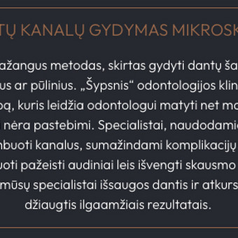 Esamų tekstų korekcijos Vilnius Agnė Kavaliauskaitė nuotrauka 4