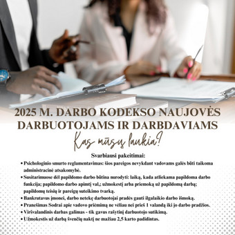 Darbdavių ar darbuotojų konsultavimas visais darbo teisės klausimais, darbo sutarčių ir kitų vidinių dokumentų rengimas, atstovavimas darbo ginčuose, pagalba išieškant nesumokėtą darbo užmokestį. Kaunas Teisininkė Inga nuotrauka 2 Darbo teisės paslaugos Kaunas Teisininkė Inga nuotrauka 2