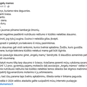 Tekstai socialiniams tinklams Vilnius Justina Kamarauskė nuotrauka 7