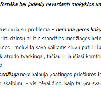 Produktų aprašymų rašymas Vilnius Justina Kamarauskė nuotrauka 5