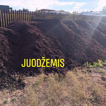 Juodžemis Vilnius Scania nuotrauka 1