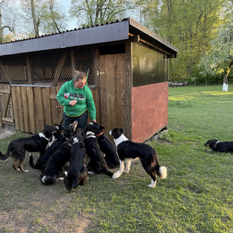 ŠUNŲ VIEŠBUTIS Birštonas Audronės Naruševičės ūkis nuotrauka 3