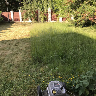 Atleikame apleistų sklypų tvarkymą, aukštos žolės ar krūmų pjovimą, senų vaismedžių genejimą ar nupjovimą. Kaunas Vejos priežiūra, žolės pjovimas nuotrauka 5 Apleistų sklypų tvarkymas Kaunas Vejos priežiūra, žolės pjovimas nuotrauka 5