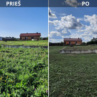 Vejos pjovimas vejapjove ir/ar trimeriu. Aukšos žolės ar pleistų sklypų žolės pjovimas. Vejos skarifikavimas, aeravimas, tręšimas, piktžolių naikinimas, sąmanų naikinimas. Tel 060787674 Kaunas Vejos priežiūra, žolės pjovimas nuotrauka 1 Žolės pjovimas Kaunas Vejos priežiūra, žolės pjovimas nuotrauka 1
