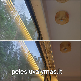 pelėsio valymo kaina tik po apžiūros arba atsiųstų nuotraukų Vilnius MB Molderis nuotrauka 1 Pelėsio naikinimo paslaugos Vilnius MB Molderis nuotrauka 1