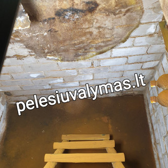 Tiksli kaina nustatoma tik po apžiūros arba atsiųstų nuotraukų Vilnius MB Molderis nuotrauka 2 Medžio grybo šalinimas Vilnius MB Molderis nuotrauka 2