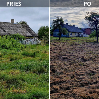 Krūmų pjovimas Klaipėda Ingridas Kazlauskas nuotrauka 5