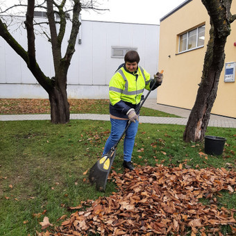 Lapų grėbimas Kaunas Asociacija Kauno Arkos bendruomenė nuotrauka 2