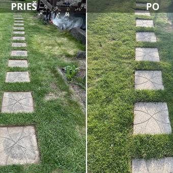 Plytelių, trinkelių, fasadų, stogų, pavėsinių, betono ir kitų paviršių plovimas aukšto slėgio plovykla. Kaunas BLIZGUVA nuotrauka 15 Plovimas aukšto slėgio plovykla Kaunas BLIZGUVA nuotrauka 15