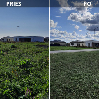 Vejos pjovimas vejapjove ir/ar trimeriu. Aukšos žolės ar pleistų sklypų žolės pjovimas. Vejos skarifikavimas, aeravimas, tręšimas, piktžolių naikinimas, sąmanų naikinimas. Tel 060787674 Kaunas Vejos priežiūra, aukštos žolės pjovimas nuotrauka 1 Žolės pjovimas Kaunas Vejos priežiūra, aukštos žolės pjovimas nuotrauka 1