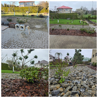 Konsultacijos Klaipėda Sodo idilė nuotrauka 8