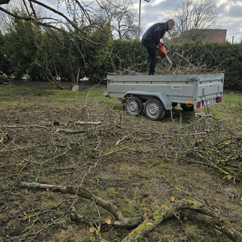 Apleistų sklypų tvarkymas Klaipėda Sodo idilė nuotrauka 4