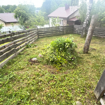 Pievų šienavimas Vilnius Vytautas Tveraga nuotrauka 5