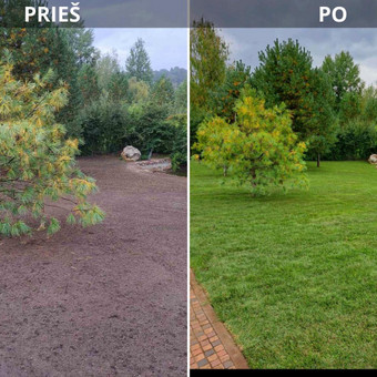Ruloninės vejos klojimas. Vilnius MB vejos ekspertai nuotrauka 7