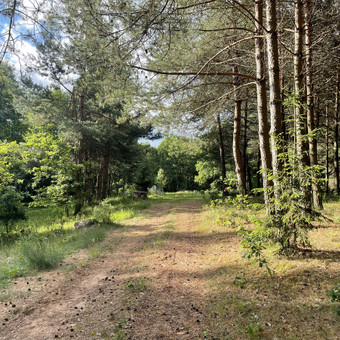 POILSIO NAMELIS su visais patogumais:
- 6 miegamos vietos (1 dvigulė lova + 2 dvivietės antresolės)
- Kaina: 130 eur/para (Kaina taikoma 4 asmenims, kiekvienas papildomas +15 eur/asmuo) Varėnos rajonas Rasa St. nuotrauka 1 Sodybos prie ežero Varėnos rajonas Rasa St. nuotrauka 1
