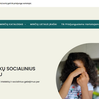 Programavimas su WordPress Marijampolė Interneto svetainių kūrimas nuotrauka 6