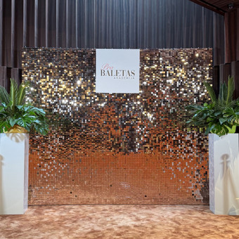 Fotosienelių nuoma verslui Vilnius Solo Decor nuotrauka 15