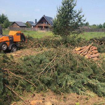 Šakų išvežimas ar smulkinimas Vilnius Audrius nuotrauka 7
